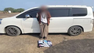 84709ade Dc51 4c48 B155 11f6925461ee