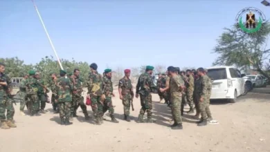 8b72c551 Df6e 43b9 8422 1b1101ea3868