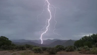 93362618 E249 45b9 8fbe A3e0b1eb508f 780x450 1