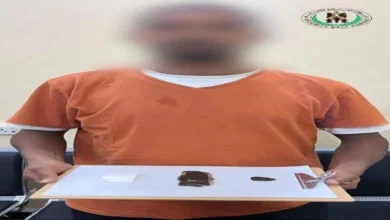 9e9e5262 C5c4 41d9 836c 437431a316bc