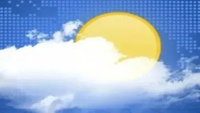 Img ٢٠٢٥٠٦١١ ١٠٠٠٥٨