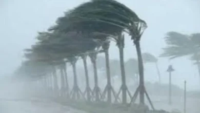 B3017fb1 Faea 41dc 9837 D2986c46a7f5