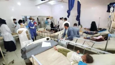 Cef5ef2d Aafc 41f8 8822 19c0aa5e06cb