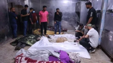 Cf9d7ba6 E36f 4e97 982e D9e43a5693e7