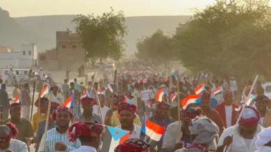 D9439e30 2323 4b87 Ad81 1e1a0f422ac2