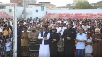 Ef020e77 Ee26 4543 980c 851009e86de1