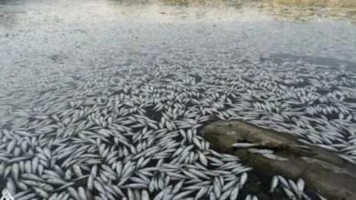 F2137b39 F12b 4487 B53a 543f713ceb13