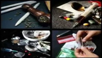 Fe0de23b 7769 423f Ba58 Eceb180f20e1