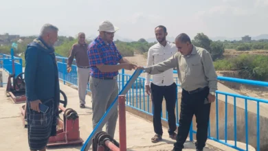 ٢٠٢٥٠٦٠٣ ٠٩٣١٠٩