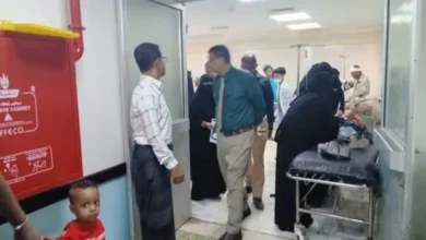 15 33 17 Img 20250704 Wa0005 623x350