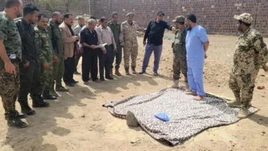 1fd5be17 C937 484f Aa4b 863dabc5c8d1