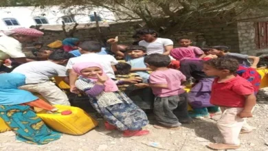 2295245b 2dad 4a51 Ac70 A6ca9d935c76