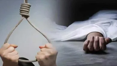 258fb531 Ad5d 49d0 8fba C9ede035156c