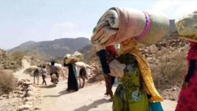 32eac8b9 C3c1 4fa0 9721 830ab854827c