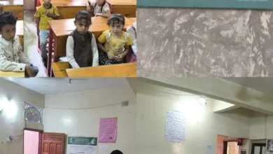 520395918 3121925651319594 5776642617353585446 N