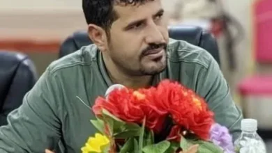 522382303 3120929588085867 586578528770754068 N