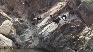 53579c5e 71e4 4d36 A580 79384699d075