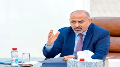 80fb27b9 1122 4059 B06e E08ef3e6f9c8