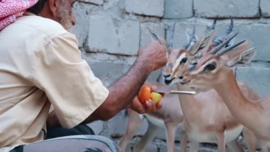 Fb Img 1751543368568