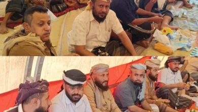 Img ٢٠٢٥٠٧٠٢ ١٧٤١٤٦