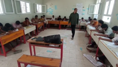 Img ٢٠٢٥٠٧١٧ ١١٢٠٤٢