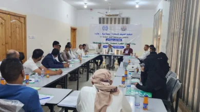 Save ٢٠٢٥٠٧٢٩ ١٢٣١٣١