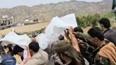 A08d39d1 17b6 408d 91e4 Ce14fe5e900a