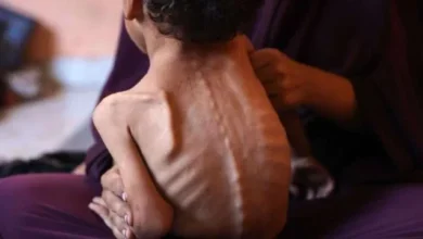 C16451e0 B205 4d4c 98ed B7a1a54b6ba2