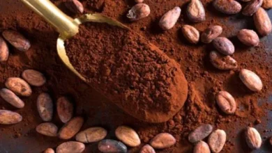 E7baf07b 00fd 4d33 8171 63a8b860199d