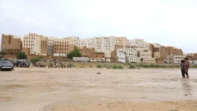 26578a33 3305 4b4c 8dd8 Fd4f621c0b5f