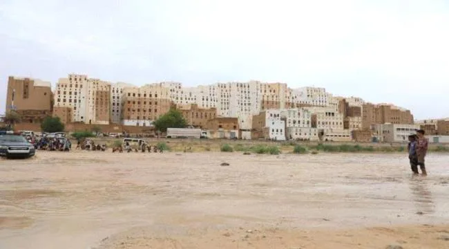 26578a33 3305 4b4c 8dd8 Fd4f621c0b5f