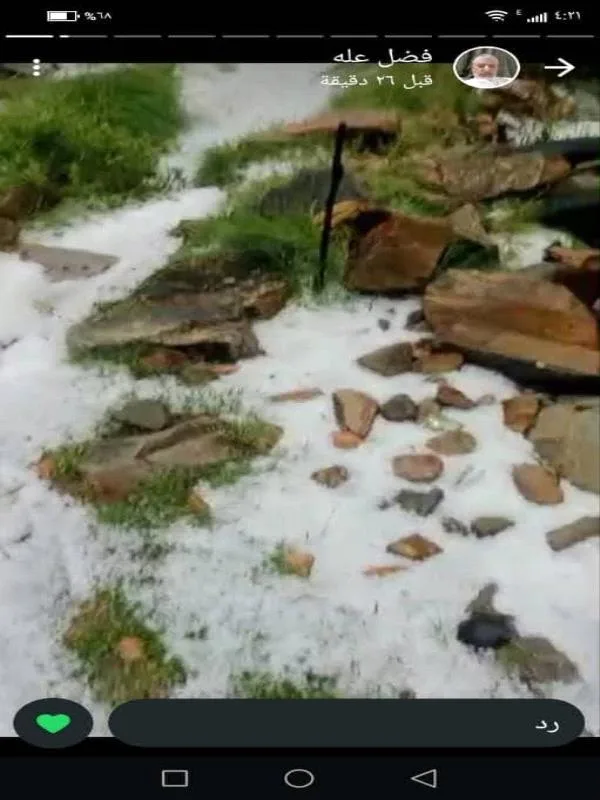 460d937b E59c 4e7f 92a1 06141217d5b4