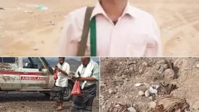 514261118 1365422738924401 6222028153868734823 N