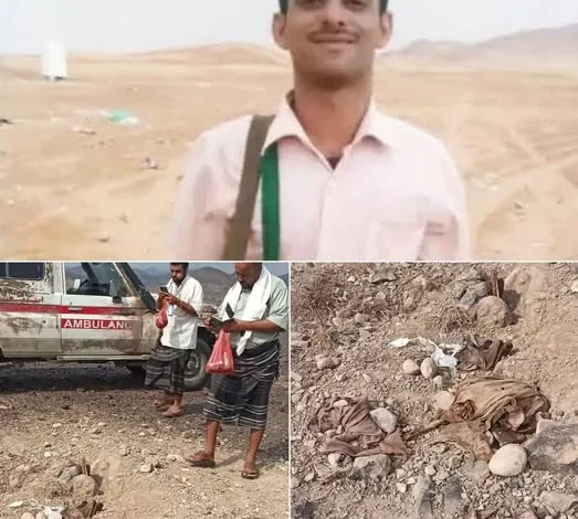 514261118 1365422738924401 6222028153868734823 N