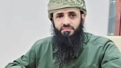 528047432 24294650346852536 228007891551977859 N