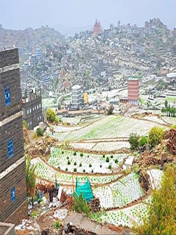 61a5bbf3 C0c6 440c 849a 23da6a71fbc8