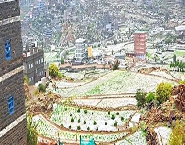 61a5bbf3 C0c6 440c 849a 23da6a71fbc8