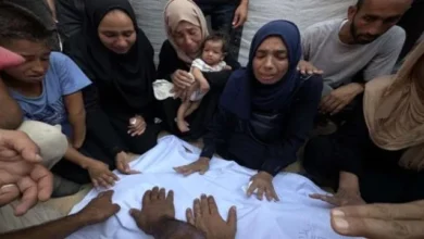 6d991c1c 0d3b 464d B5a0 E6ca60919ec2