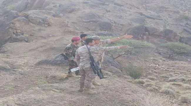 87e19d96 1e3a 4add B7e6 Cecbb68683f6