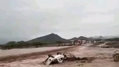 Fb Img 1755960674289