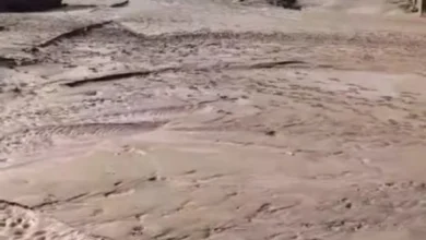 Fb Img 1756040915929