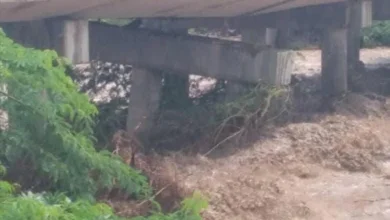 Img 20250824 Wa0038 750x470