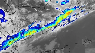 Img 20250822 124847 705