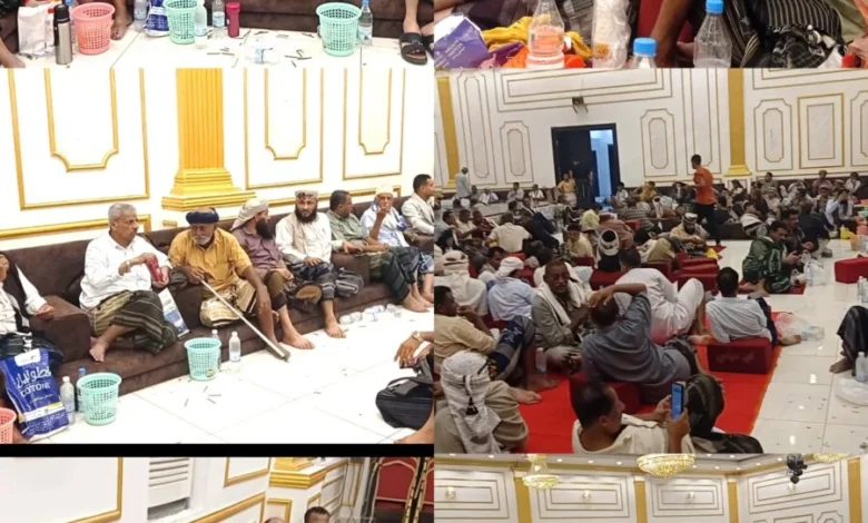 Img ٢٠٢٥٠٨١٠ ١٧٢٢٠٥