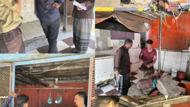 Img ٢٠٢٥٠٨١٧ ١٩٣٩١٨