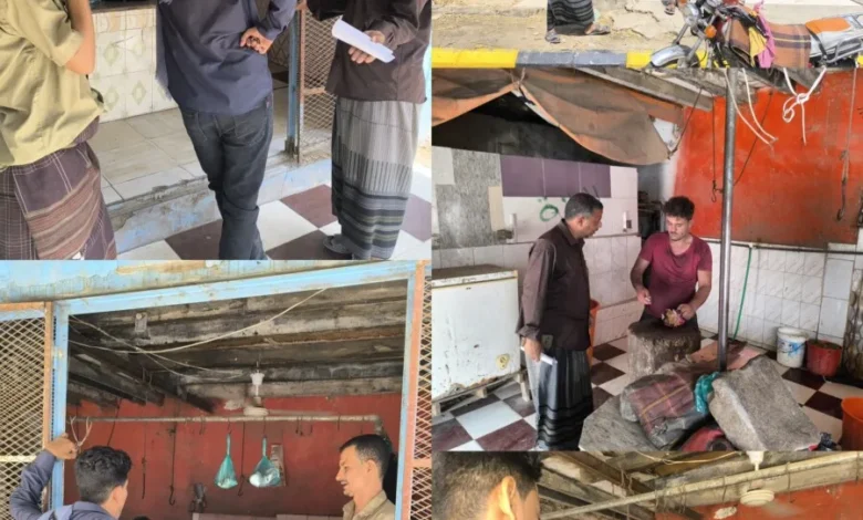 Img ٢٠٢٥٠٨١٧ ١٩٣٩١٨