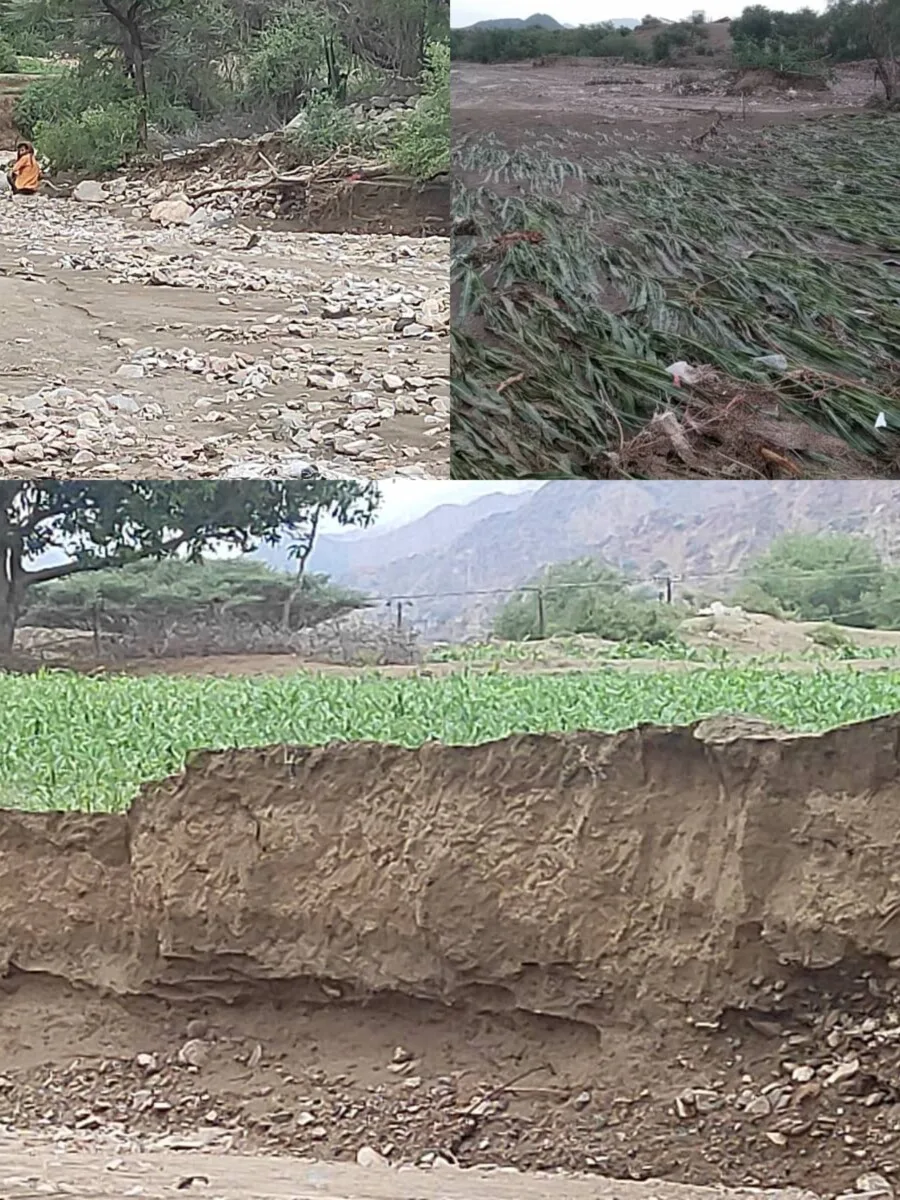 Img ٢٠٢٥٠٨١٩ ٢١٠٤١٨