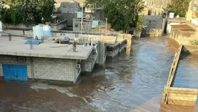 Img ٢٠٢٥٠٨٢٣ ١٨٥٨٢٨