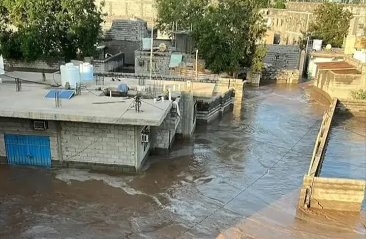 Img ٢٠٢٥٠٨٢٣ ١٨٥٨٢٨