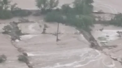 Img ٢٠٢٥٠٨٢٣ ٢٢٥٦٢٢